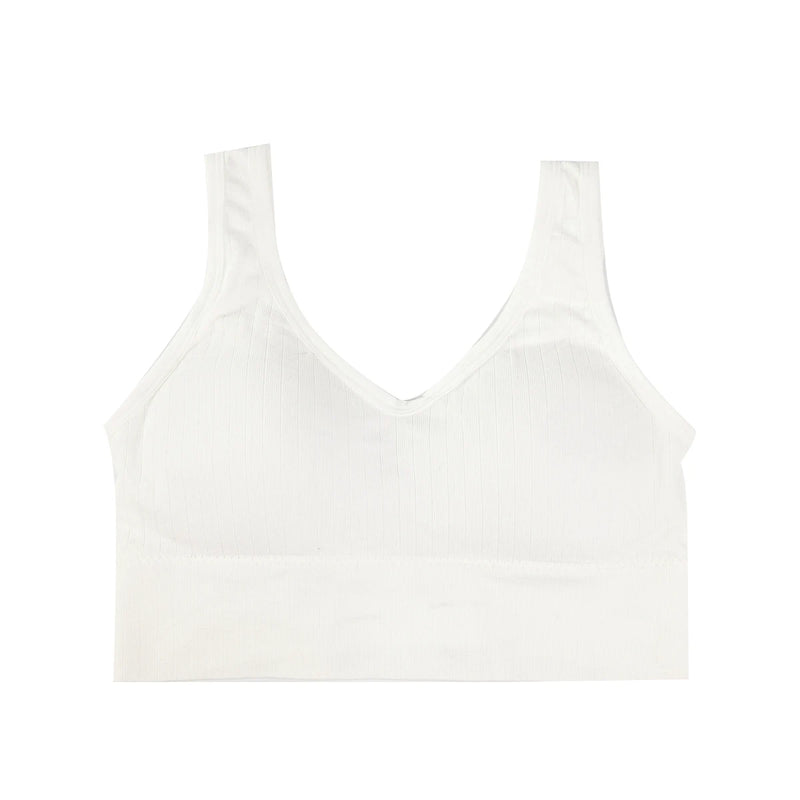 Curve Muse Top
