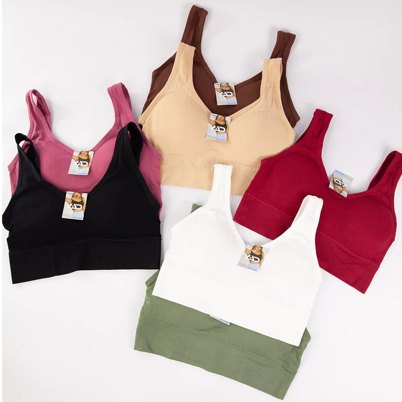 Curve Muse Top